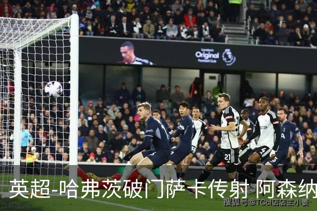 英超-哈弗茨破门萨卡传射 阿森纳2-0狼队